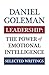 Leadership: The Power of Emotional Intellegence