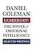 Leadership: The Power of Emotional Intellegence