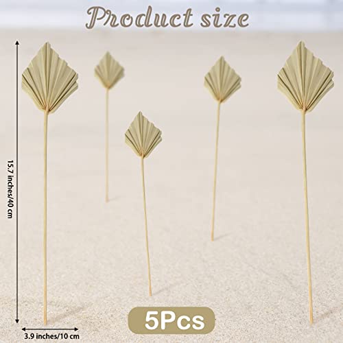 Boho Dried Palm Spears Small Natural Dried Palm Fans Dried Palm Leaves Dried Palm Leaf Palm Fan Leaf With Stem Dried Leaf Decor For Vase Wedding Party Office Home Wall Decor (Natural Color,5 Pieces) #TOP1