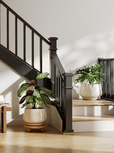 Alt Text for image 2: LE TAUCI planters with drainage holes, saucers, and natural clay construction