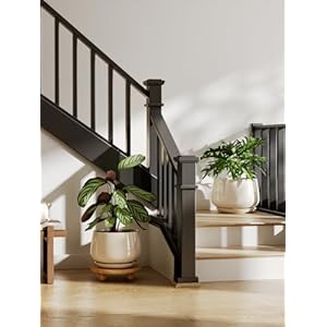 Le tauci ceramic planters 10 inch pots for plants indoor plant pots with drainage holes and saucers modern planters fit mid century plant stand flower pots for indoor plants reactive glaze beige  urban country home decor