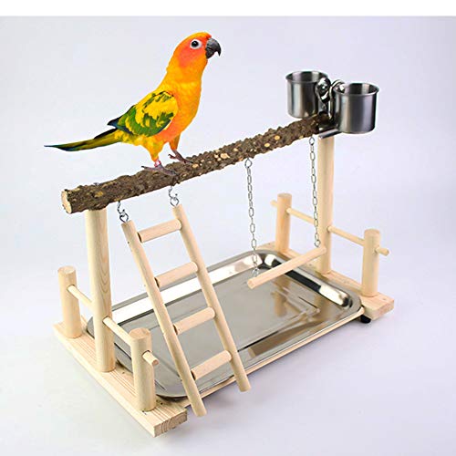 QBLEEV Parrots Playstand Bird Playground Wood Perch Gym Stand Playpen Ladder with Toys Exercise Playgym for Conure Lovebirds