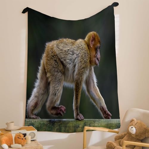 Couvertures douce moelleuse singe pour apaiser les soirées fraîches - 6