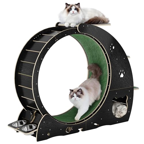 Hetoy 6-in-1 Cat Exercise Wheel with Accessories