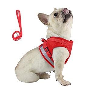 Qpets® Dog Vest Harness for Puppy with 1.2m Dog Leash Adjustable Size Dog Vest Harness Breathable Mesh Fabric with Safety Reflective Strip Dog Harness for Dogs