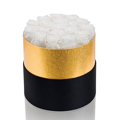 Perfectione Roses White Roses In Box Handmade Preserved Rose That Last Up To Three Years, Long Lasting Rose Valentines Day Gifts For Her Birthday Gifts For Wife Christmas Day Gifts #TOP16