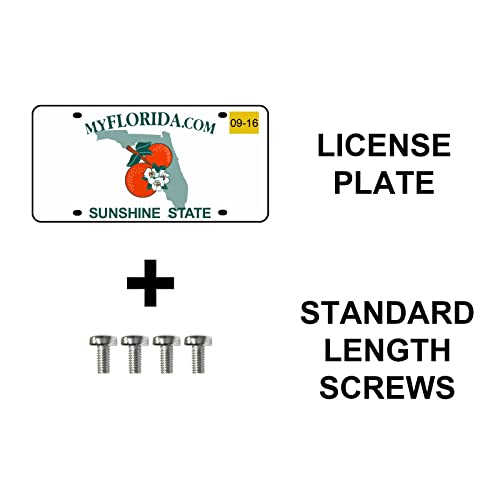 Prime Ave Standard Length Stainless Steel License Plate Screws Compatible/Replacement For All Bmw Mini & Tesla Models #TOP3