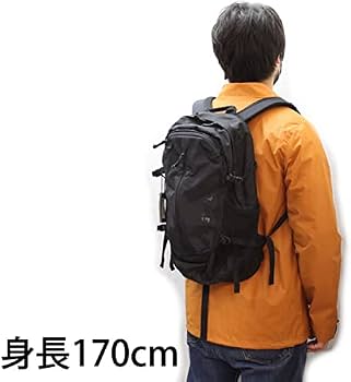 Amazon.co.jp: グレゴリー GREGORY グレゴリー リュック デイパック 