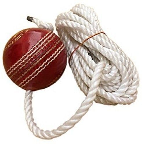 YMD Leather Hanging Ball Cricket Leather Ball (Pack of 1)-picture-23