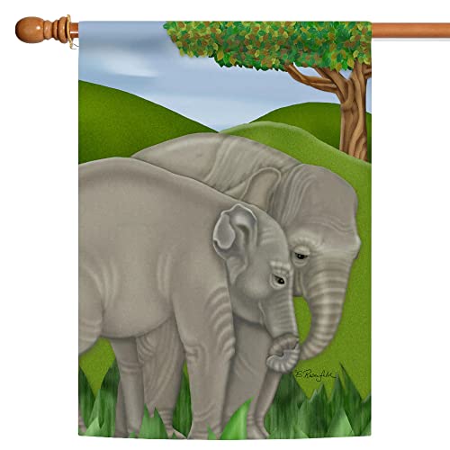 Toland Home Garden 109579 Safari Smooches 28 x 40 Inch Decorative, House Flag-28" x 40"