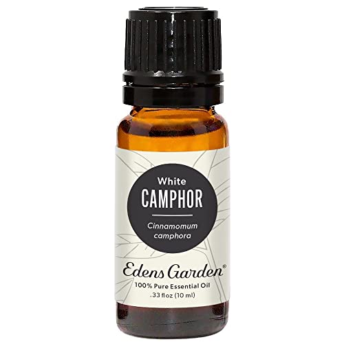 Edens Garden Camphor- White Essential Oil, 100% Pure Therapeutic Grade (Undiluted Natural/Homeopathic Aromatherapy Scented Essential Oil Singles) 10 ml