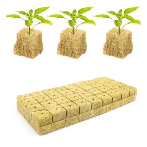 LERANXIN Cubos Lana Roca, 36 Celdas, Cubos de Cultivo, 30 x 30 x 40 mm, Hidropónicos Rockwool Grow, Adecuado para Esquejes y Propagación de Plantas