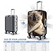 QSMBNET Travel Luggage Cover Cat on Blanket Spandex Suitcase Protector Washable Baggage Covers Fashion Elastic Scratch-Resistant Luggage Cover Protector Fits 18-32 Inch Luggage