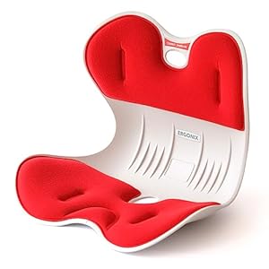 ERGONIX Kinder Ergonomischer Haltungskorrekturstuhl