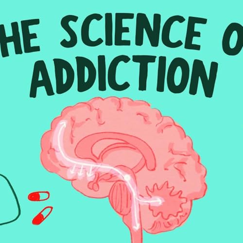 What causes addiction, and why is it so hard to treat? - Judy Grisel