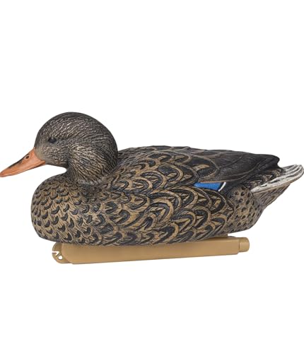 ZINK Floater Mallard Decoys | 6-Pack Life-Size Floating Decoys for Duck Hunting | 3 Drakes & 3 Hens | Hand-Painted Waterfowl Hunting Decoys with Weight Forward Keel & Front Line-Lock - Thumbnail 5