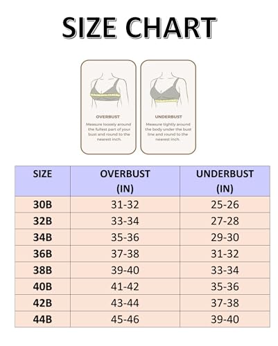 Image of PLUMBURY Nylon Blend Full Support Minimizer Everyday Bra For Women Full Coverage | Wireless| Padded With Seamless Soft Cups