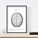 Nacnic Set de 3 Posters de anatomía en Blanco y Negro con...