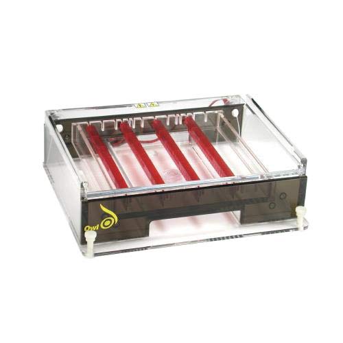 Thermo Fisher Owl A6 Wide Gel Horizontal Electrophoresis System without