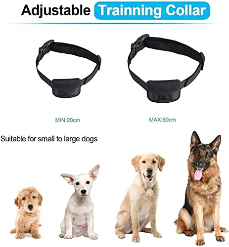 Dongng Anti Bark Collar Features and Usability