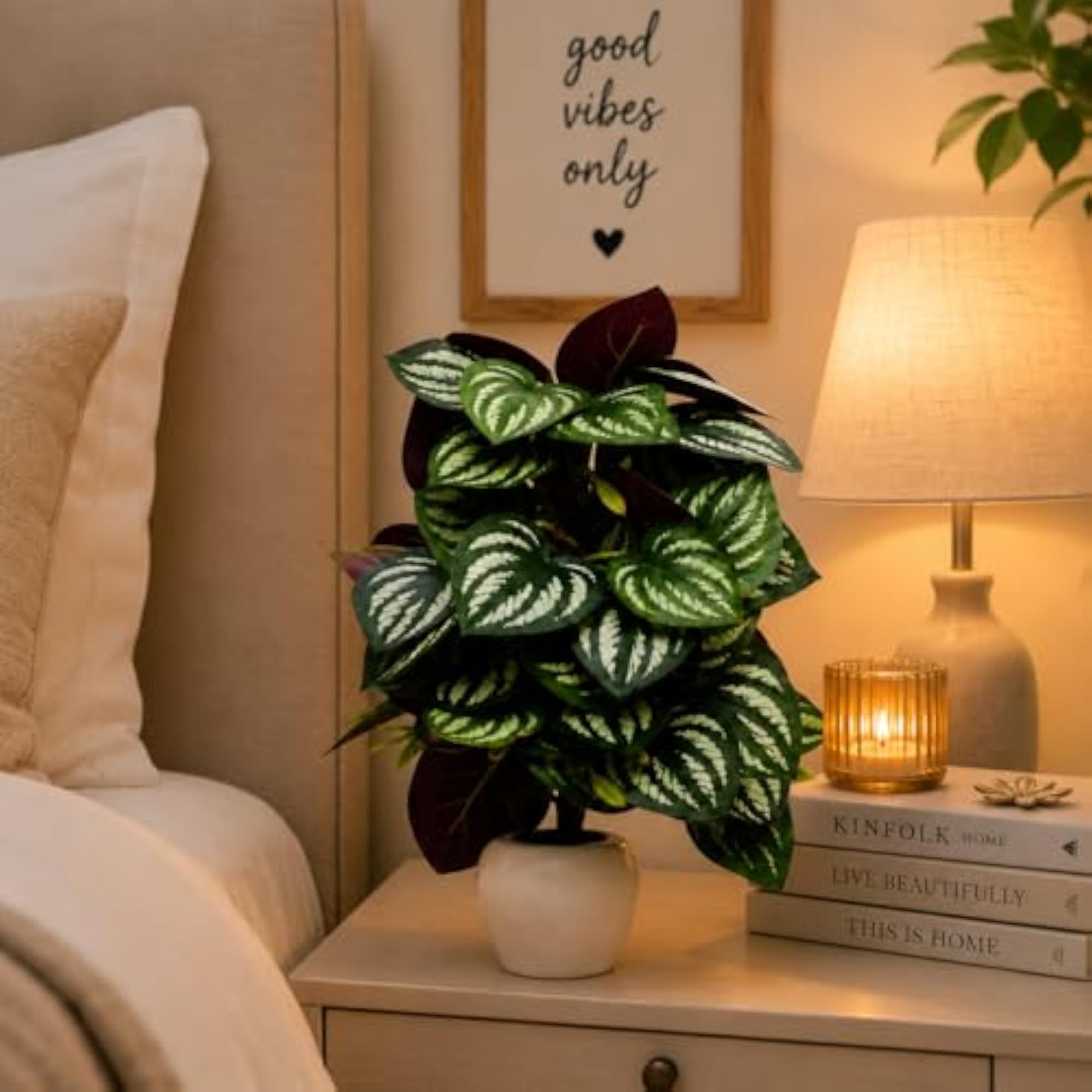 Premium Faux Peperomia Plant in Decorative Pot