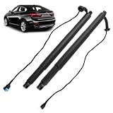 2 pistoncini portellone compatibili per BMW X6 (F16, F86) (2014-2019)