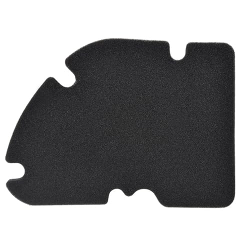 Road Passion Filtro de Aire 831997 8319970P Compatible con...