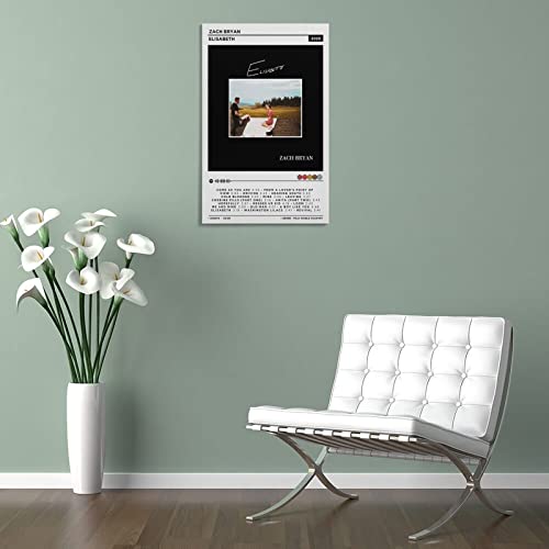 Poster Zach Bryan Elisabeth 2020 décoration murale toile 50x75 - 5