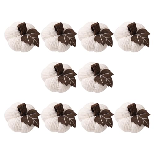 Citrouilles Thanksgiving Morain déco durable sans entretien