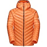 Mammut