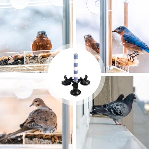 Perchoir à oiseaux avec ventouse pour perruche inséparable calopsitte et perroquet - 5