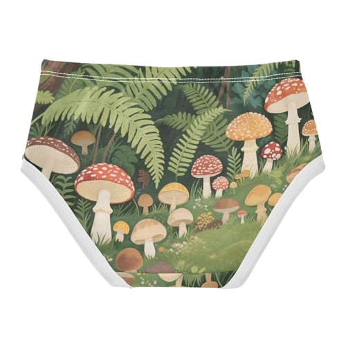 GuoChe Cotton Panties Panties Training Organic Cotton Toddler Underwear for Toddler in Sizes 2T,3T, 4T, 5T, 6Y and 8Y2
