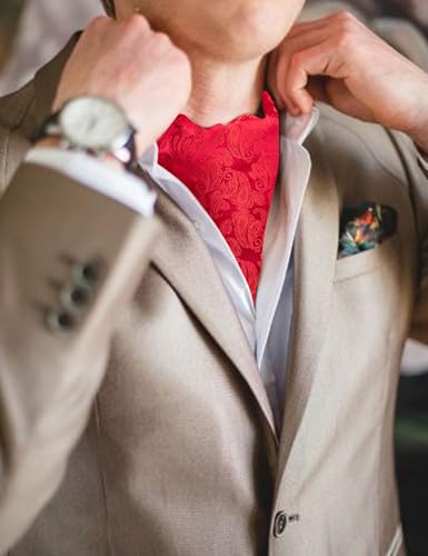 Image of Barry.Wang Ascot Ties Cravat Tie Men Paisley Plaid Scarf Self Tie Pocket Square Cufflinks Set Wedding Party