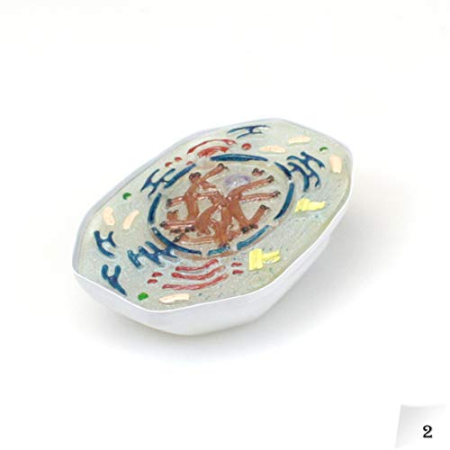 Image of Parco Scientific PB00160 Animal Mitosis 3D Model | 9 Stage Mitosis Demonstration | Biology Classroom Cell Division Display | Detailed Open Cell Organelles | Pieces Equipped with Stand | W Manual