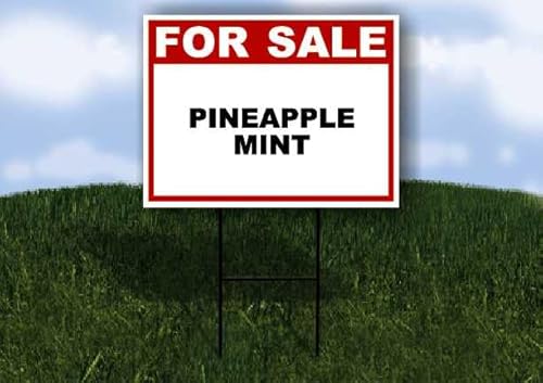 PINEAPPLE MINT For Sale Whte Red Black 1 Double Sided
