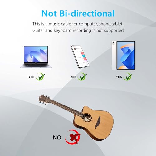 Cable USB C a Jack 6.35mm TRS Audio 1.0 m miniatura 5