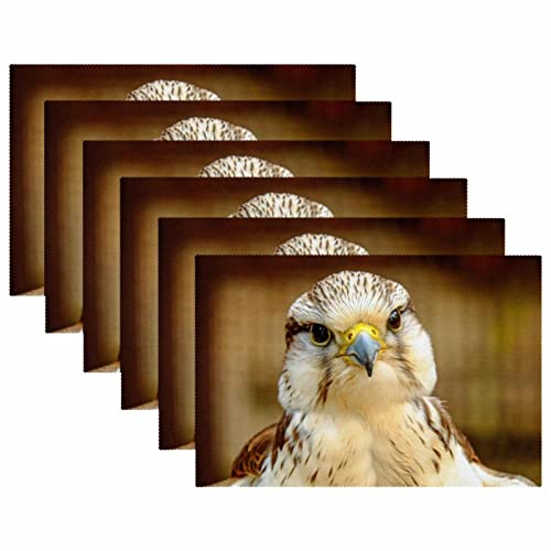 Sets de table lavables et résistants à la chaleur Gyrfalcon en tissu Oxford robuste - 6