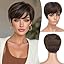 Brown with Highlights