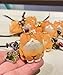ShaoAngDuoMi Handmade Orange Cat Lucky Keychain Wooden Orange Cat Keychain with Four-Leaf Clover Charms Car& Backpack Ornament Birthday Gift