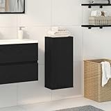 BOWEKAM Hängeschrank Eiche schwarz 32x20x67cm Holzwerkstoff