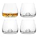 Final Touch - Bicchieri da whisky in cristallo al 100% senza piombo, realizzati con DuraSHIELD titanio rinforzato per una maggiore durata, set da whisky scozzese, 9 cm, 300 ml (confezione da 4)