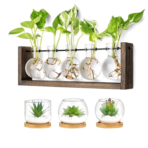 Mkono Plant Terrarium with Wooden Stand and Artificial Succulent in