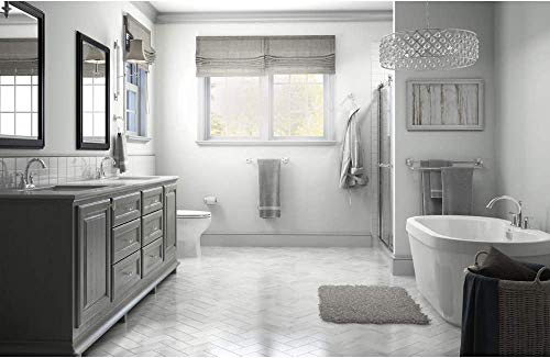 Franklin Brass Nap50-Sn Napier Toilet Paper Holder, Satin Nickel #TOP4