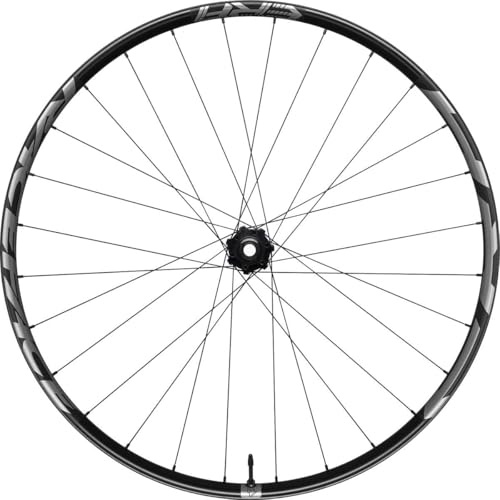 Race_Face Unisex Adult Roue ERA 30 Carbone-29 Boost Avant 15 x 110-6 Trous, Black, One Size