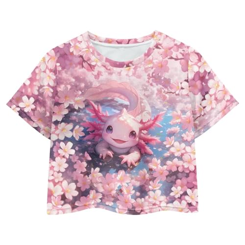 Image of Girls Crop Tees Crew Neck Casual Short Sleeve T Shirts Kids Loose Soft Comfortable Tees Blouses Shirt for Little Girl