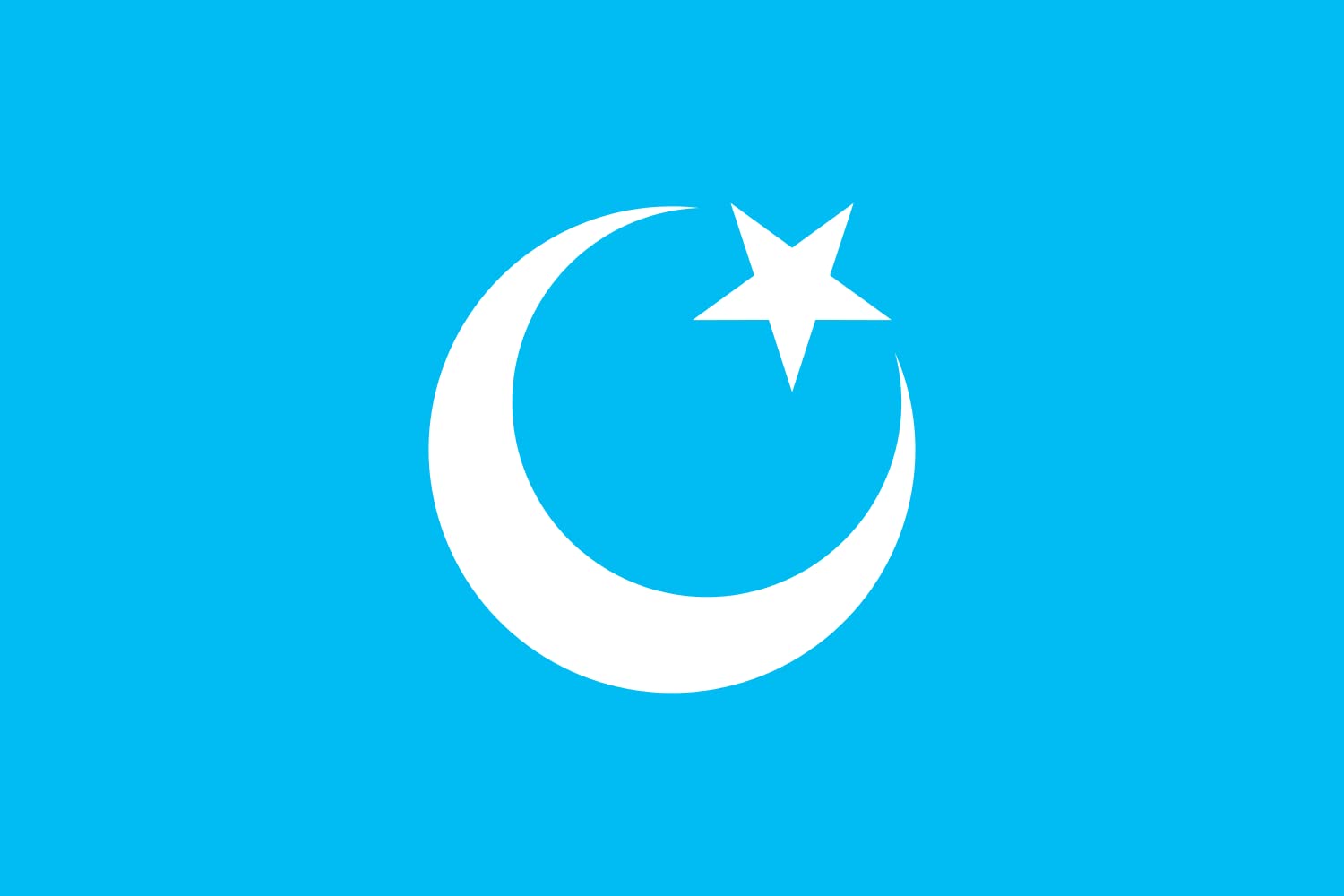 Drapeau Turkic Union paysage 1.35m² grand format pour mât pavillon et collectionneur