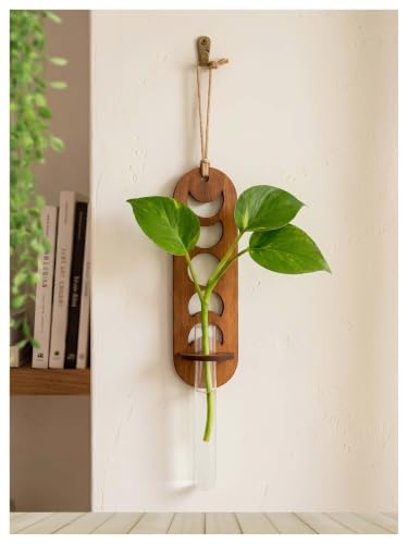 Image of Bombay Greens Lunar Wall Hanging Planter with Wooden Holder & Rope | Test Tube Hanging Planter | Wooden Stand for Home Decor, Living Room, Balcony & Office Decoration