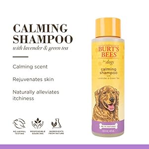 Burt’s Bees for Pets Naturally Derived Calming Dog Shampoo with Lavender and Green Tea – Cleansing Lavender Dog Shampoo – Cruelty Free, Made in USA, 16 oz