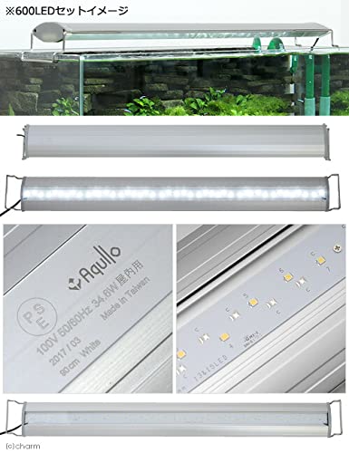 Amazon.co.jp: アクロ OVAL LED 900 5500lm