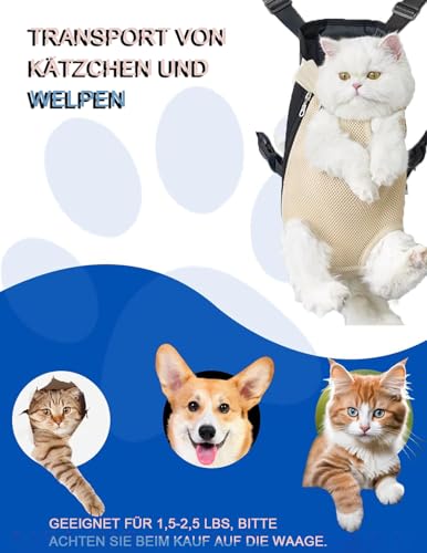 Katzen Hunde Rucksack, Haustier Rucksack Verstellbar Katzentransporttasche, Atmungsaktiv Und Faltbar FüR Klein Hunde Katzen Welpen